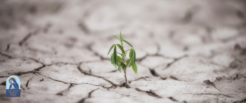 Resilience