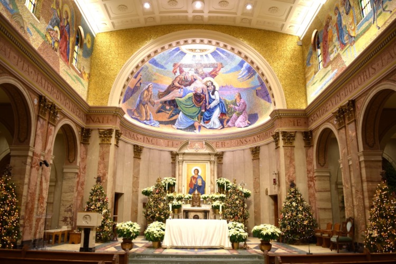 Photo of the church at Christmas, tree's lining altar.