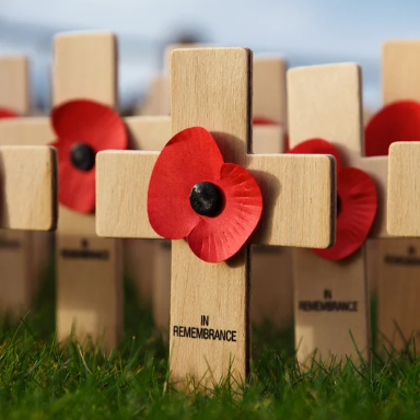 Remembrance Crosses